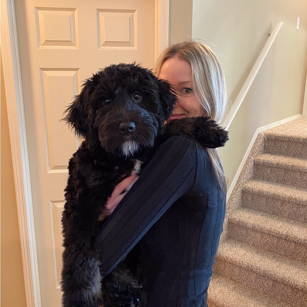 Meet your Posher, Lisa